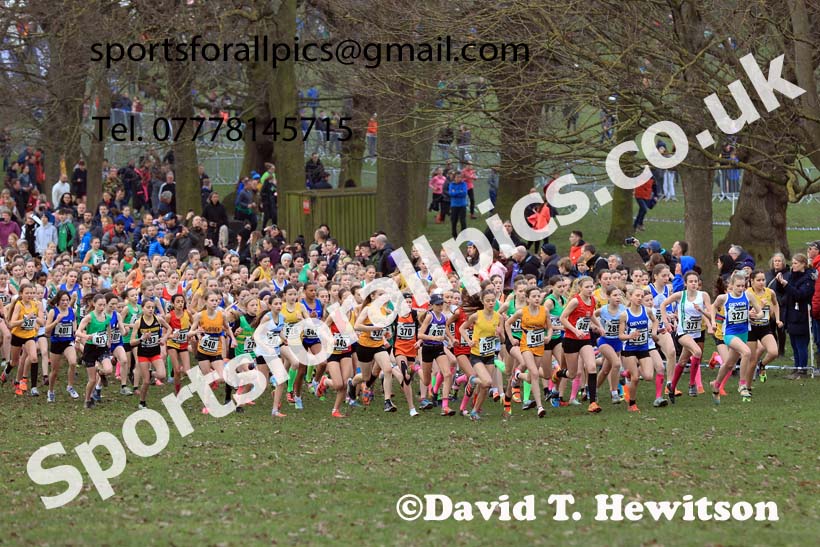Girls Under-13s, 2024 CAU Inter Counties Cross Country Champs., Wollaton Park, Nottingham. Photo: David T. Hewitson/Sports for All Pics